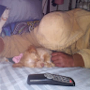 Meet your Posher, Joe